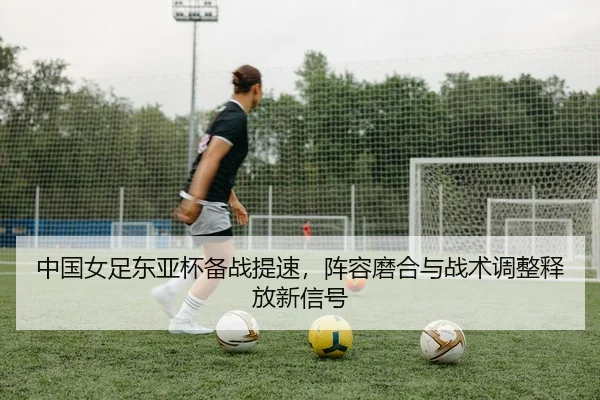 img_1781037778642_148_1_438.jpg